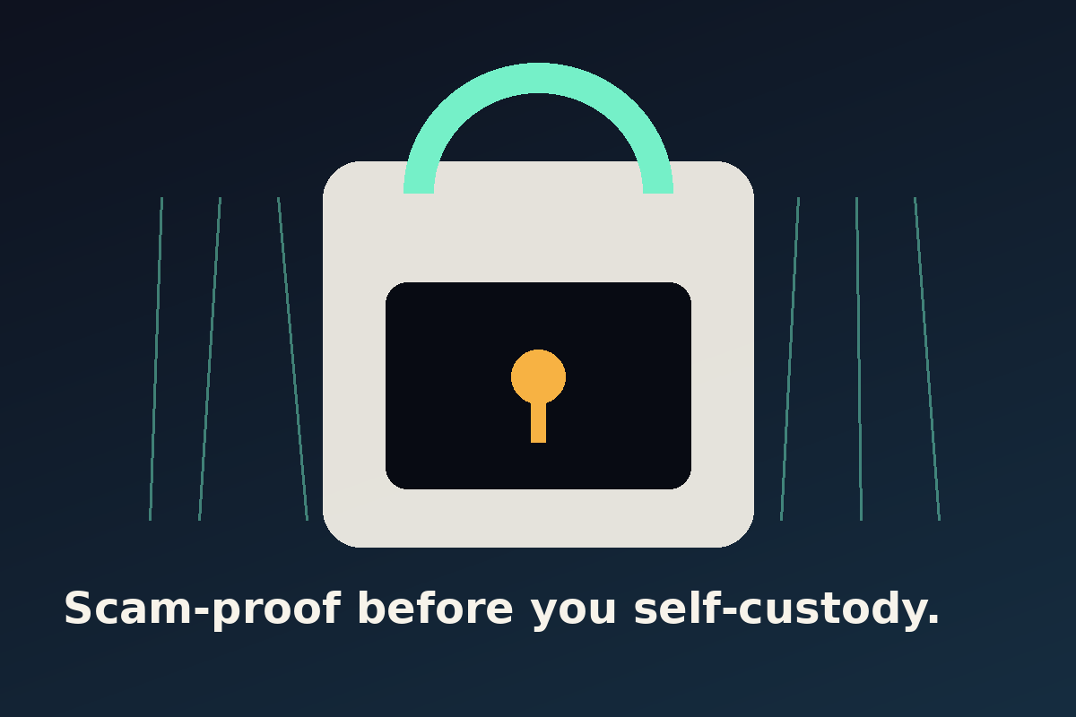 Wallet safety illustration